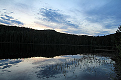 Hemtjärnen