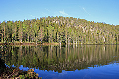 Hemtjärnen