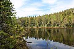 Hemtjärnen