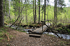 Brücke über den Dalssjöbäcke