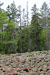 Geröllfeld im Slåttdalen