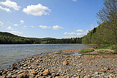 Kälaviken