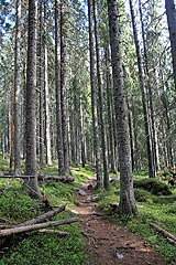 Auf den Täcksberget