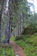 Auf den Täcksberget