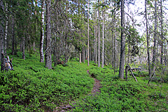 Am Täcksberget