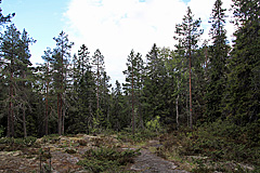 Abstieg nach Sör-Balesviken