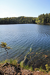 Balestjärnen