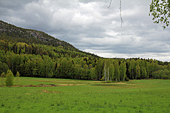 Wiesen bei Bäck