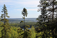 Ausblick vom ArkNat-Windschutz