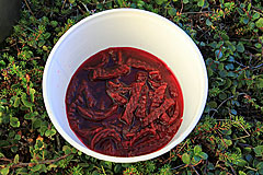 Rote Bete als Salat