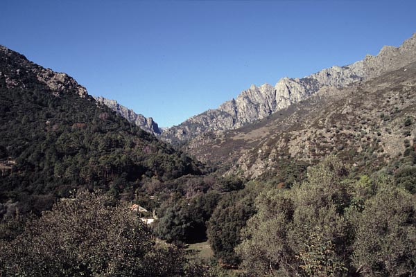Tal des Tavignano