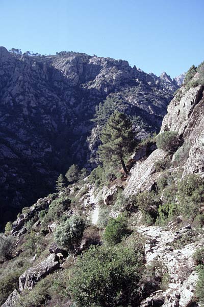 Schlucht des Tavignano