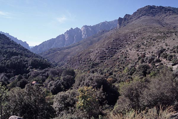 Tal des Tavignano