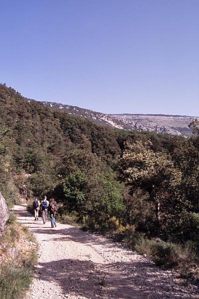 Weg