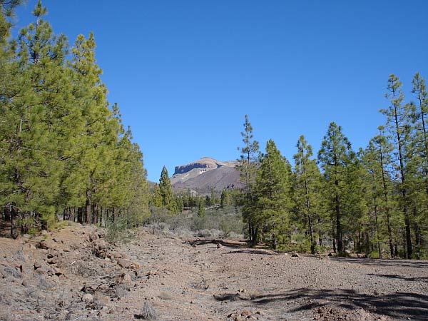 Montana de Guajara 