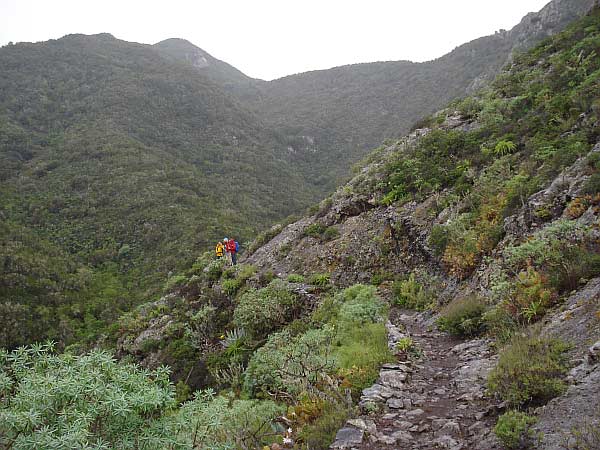 Bei Regen durch das Teno Gebirge