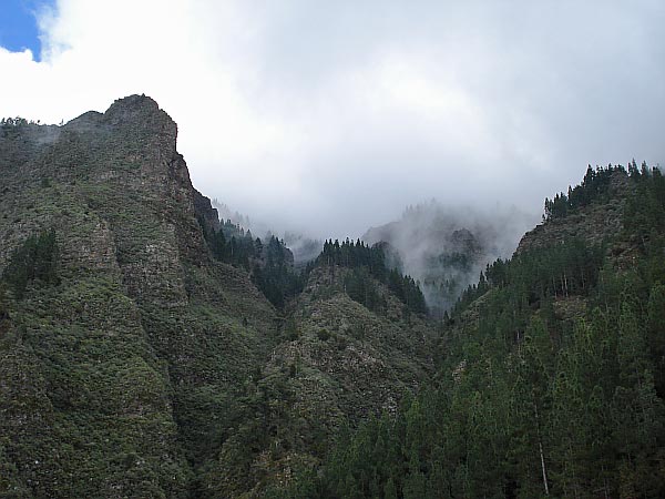 Felsen Los Organos