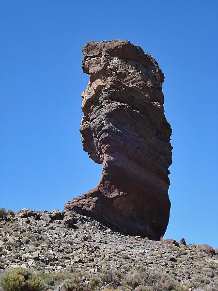 Roque Cinchado