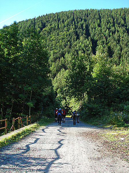 Fahrweg bei Motta