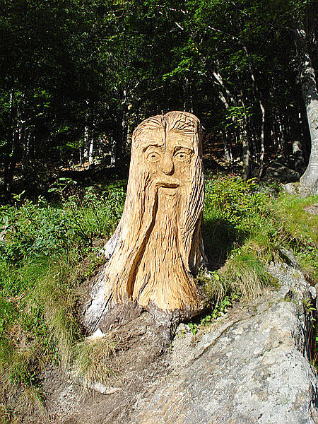 Baumstamm bei Motta