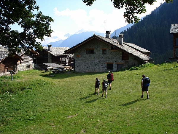 Alpenzu Grande