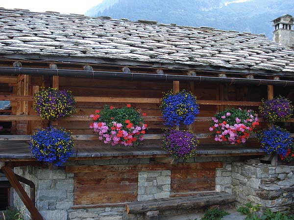 Alpenzu Grande