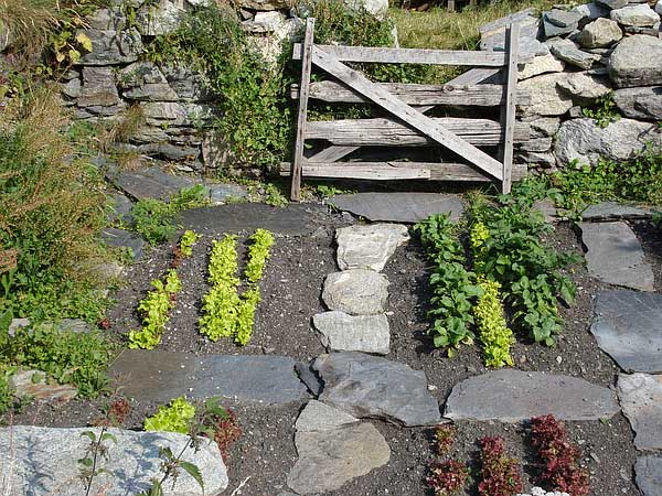 Garten in Alpenzu Grande