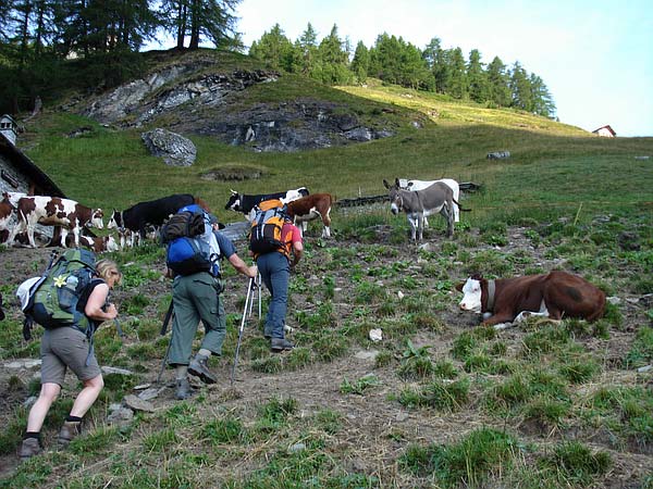 Alp Ondermontel