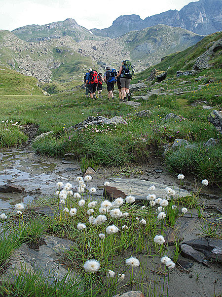 Alpe Mase