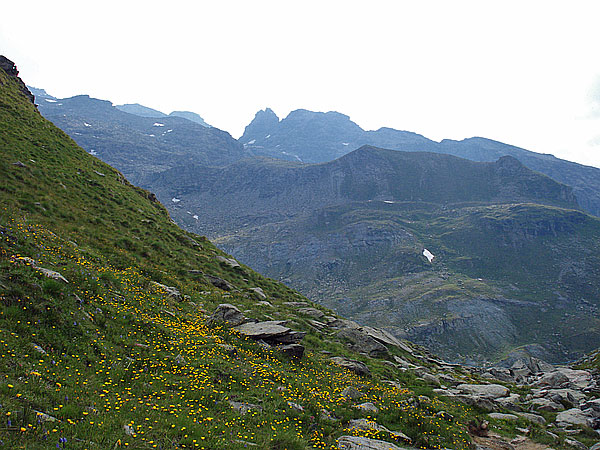 Oberhalb der Alpe Mase