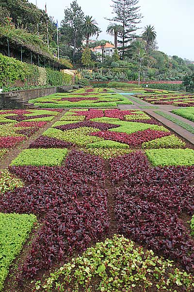 Beete im Jardim Botânico da Madeira
