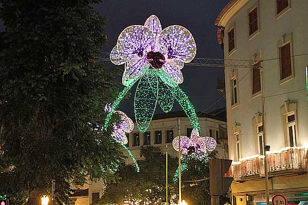 Weihnachtsbeleuchtung in Funchal