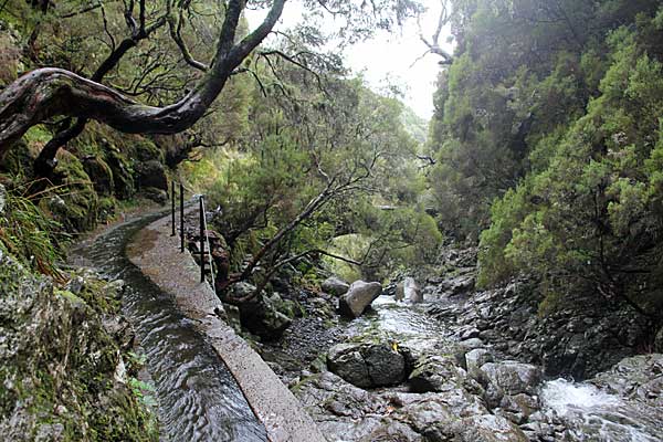 An der Madre der Levada das 25 Fontes