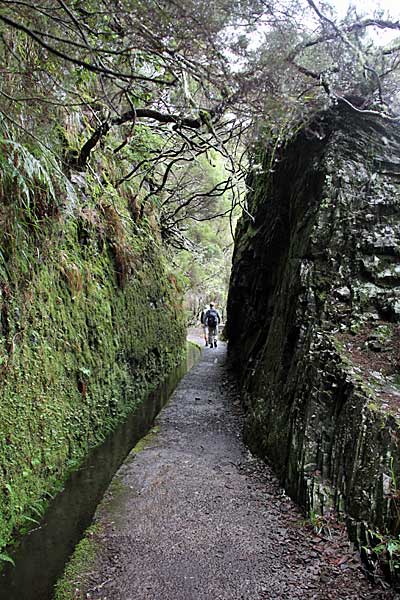 An der Levada das 25 Fontes