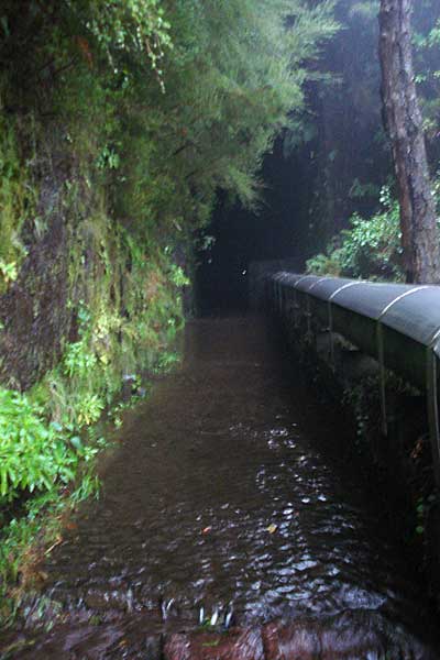 Der nördliche Eingang des Túnel do Rabaçal 