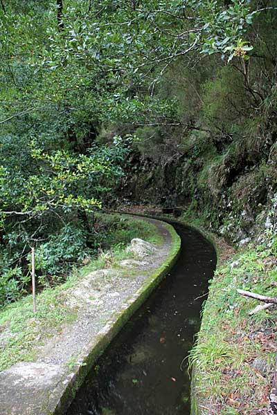 An der Levada Ribeira da Janela