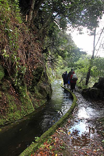 Die Levada führt viel Wasser