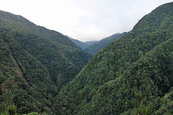 Im das des Ribeira da Janela