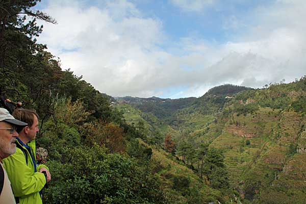 Im Tal des Ribeira do Porto Novo
