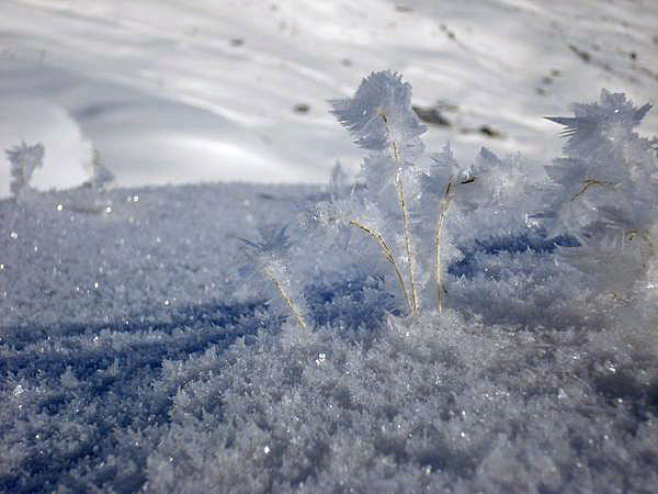 Schneekristalle auf dem Mattjsch Horn