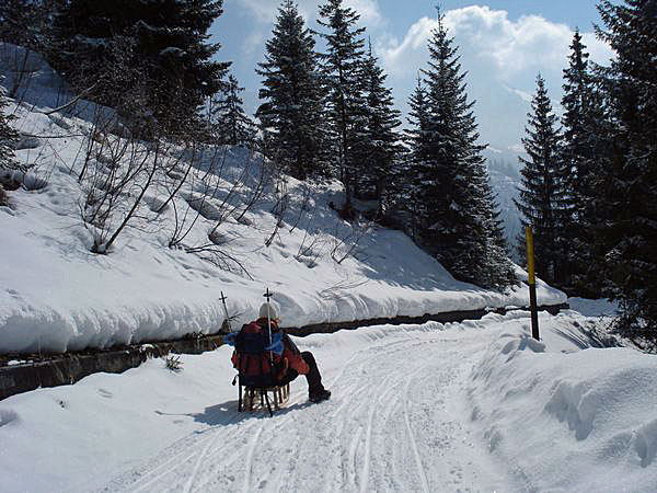 Auf dem Schlitten ins Tal nach Langwies