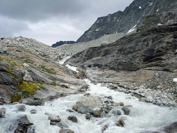 Dyure du Brenay