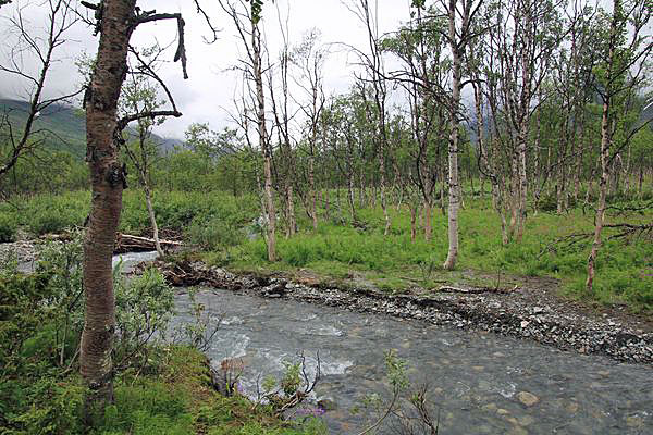 Schmaler Arm des Alep Vassjajåkåtj