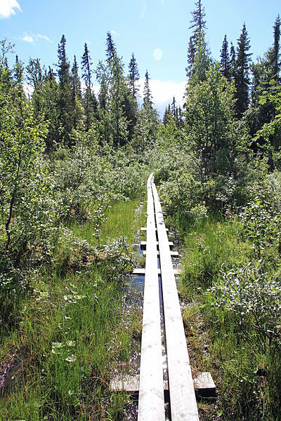 Kungsleden