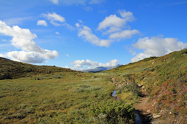 Abzweigung zum Veslfjellet