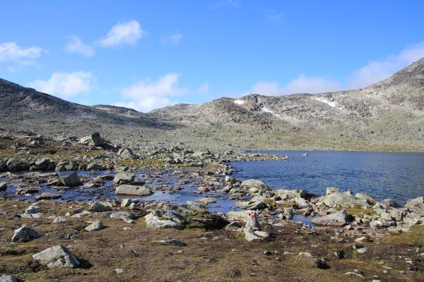 Watstelle östlich von Olavsbu