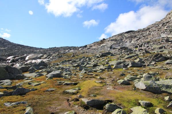 Aufstieg zum Pass zwischen Snøholstinden und Mjølkedalstinden