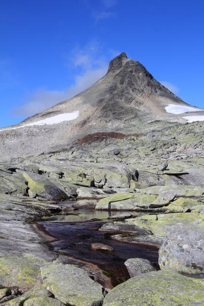 Auf der Passhöhe zwischen Snøholstinden und Mjølkedalstinden