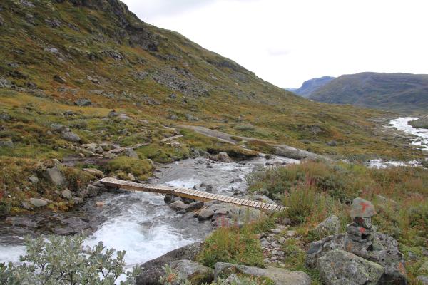 Sommerbrücke im Mjølkedalen