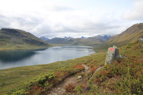 Blick über den Bygdin-See nach Westen